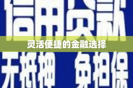 卓兰灵活便捷的金融选择