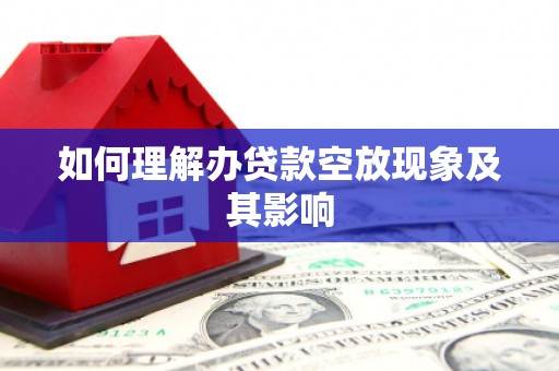 定陶如何理解办贷款空放现象及其影响