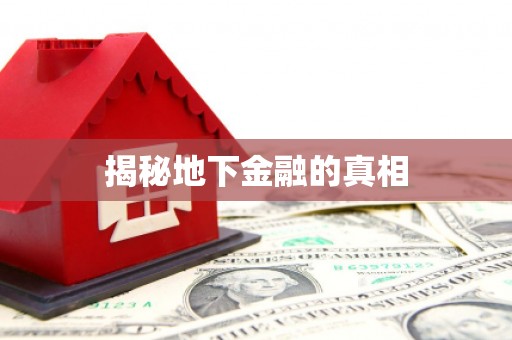 定陶揭秘地下金融的真相
