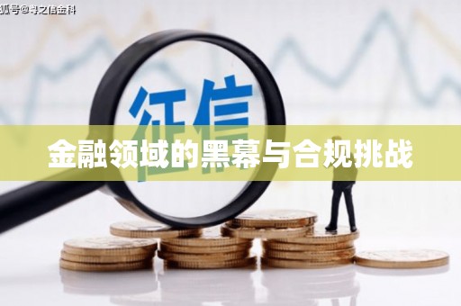 齐河金融领域的黑幕与合规挑战