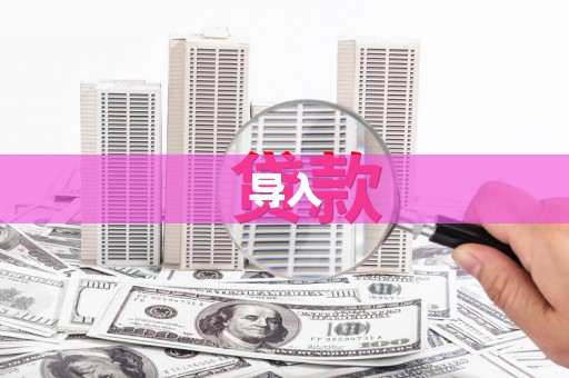 稻城导入