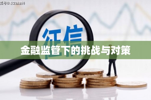武都金融监管下的挑战与对策