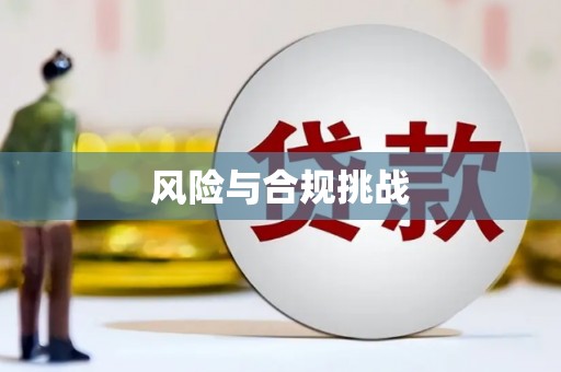 武都风险与合规挑战