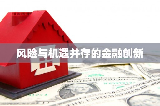 英德风险与机遇并存的金融创新