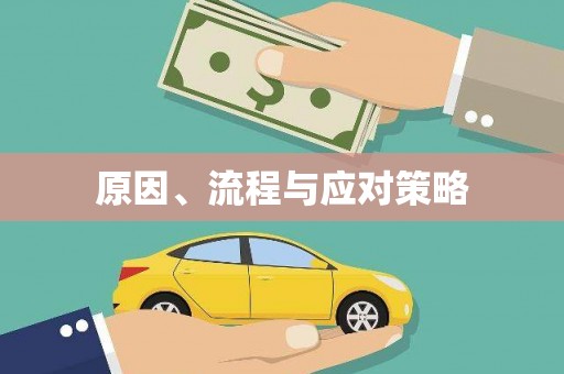 南投市原因、流程与应对策略