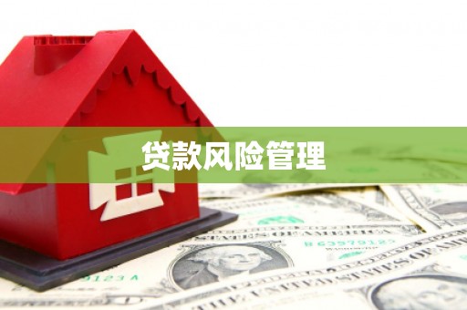 徐汇贷款风险管理