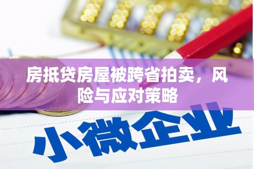 沅陵房抵贷房屋被跨省拍卖，风险与应对策略