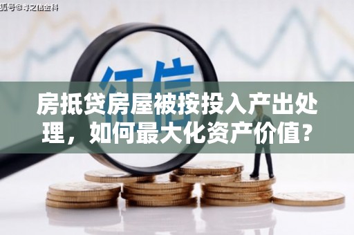 洛龙房抵贷房屋被按投入产出处理，如何最大化资产价值？