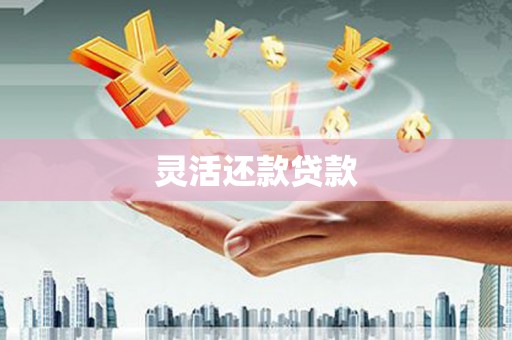 洛龙灵活还款贷款