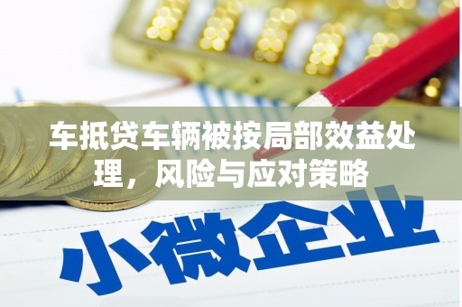 肃南车抵贷车辆被按局部效益处理，风险与应对策略
