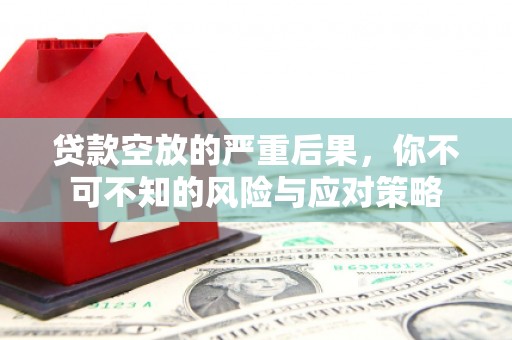 洱源贷款空放的严重后果，你不可不知的风险与应对策略